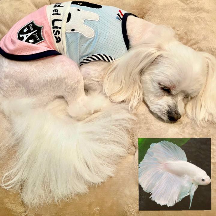 Bfbb4365 afed 48ed b515 362af32c726f 1621513820464