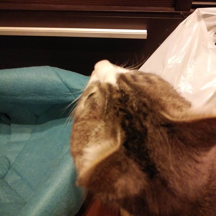 Bfbb45e2 2655 4891 be3b f531240e0d12 1582987525766