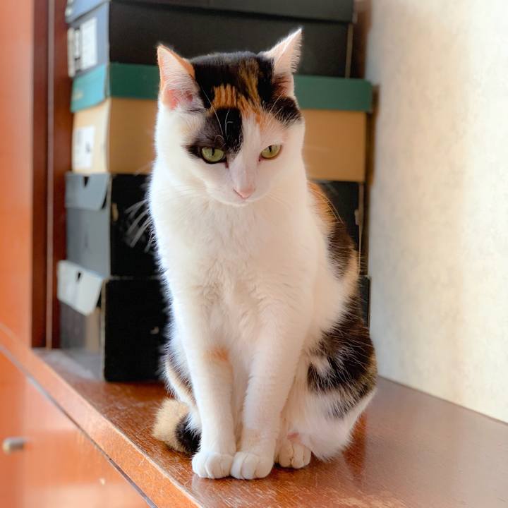 Bfbb6793 8f5f 4245 9547 272ab89c92b2 1560472441230