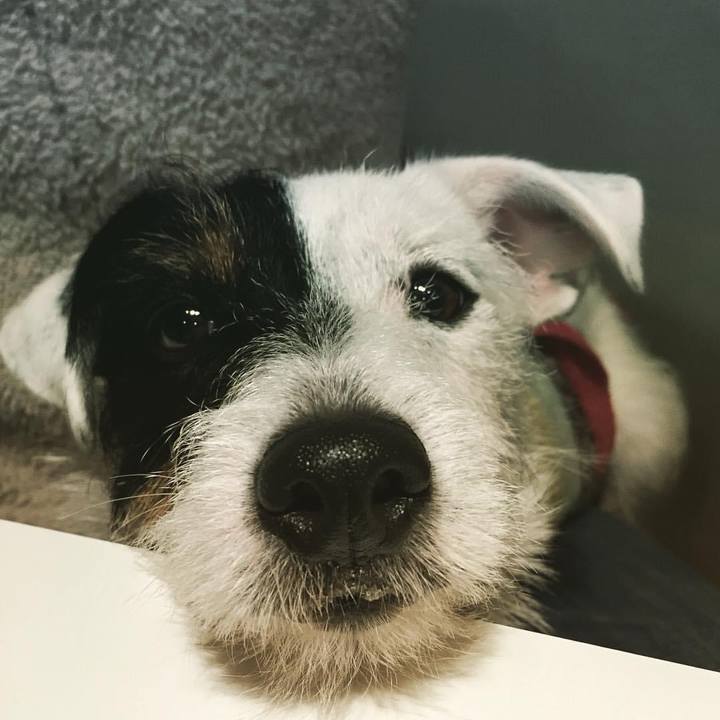 Bfbb6920 ad17 4648 8167 3ccb5531c6b7 1705667511715