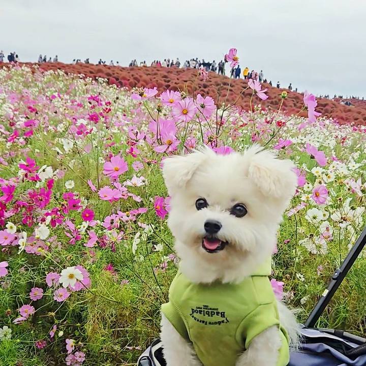 Bfbba875 c69e 4bc7 9e1d 47bce4e74465 1761380200140