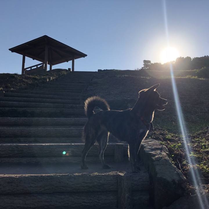 Bfbbc26b 0862 4809 81d9 6ae031b96787 1513593830289