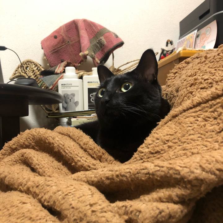 Bfbbe7dd d8d9 422c 80d7 1568bb7b1002 1577183141137