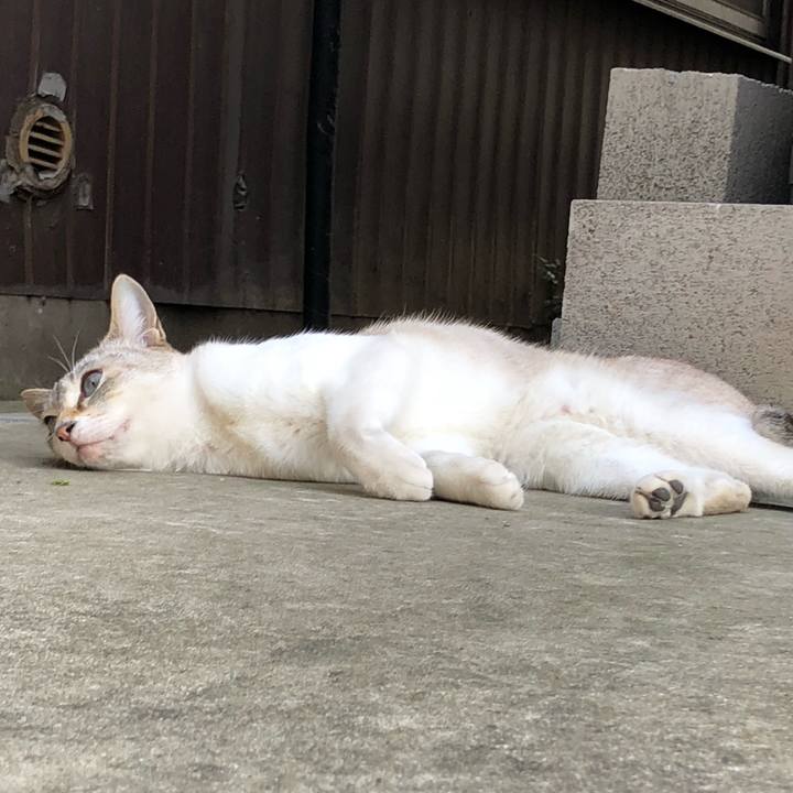 Bfbc0dd6 6606 452e b940 60cb8271ce79 1560777504387