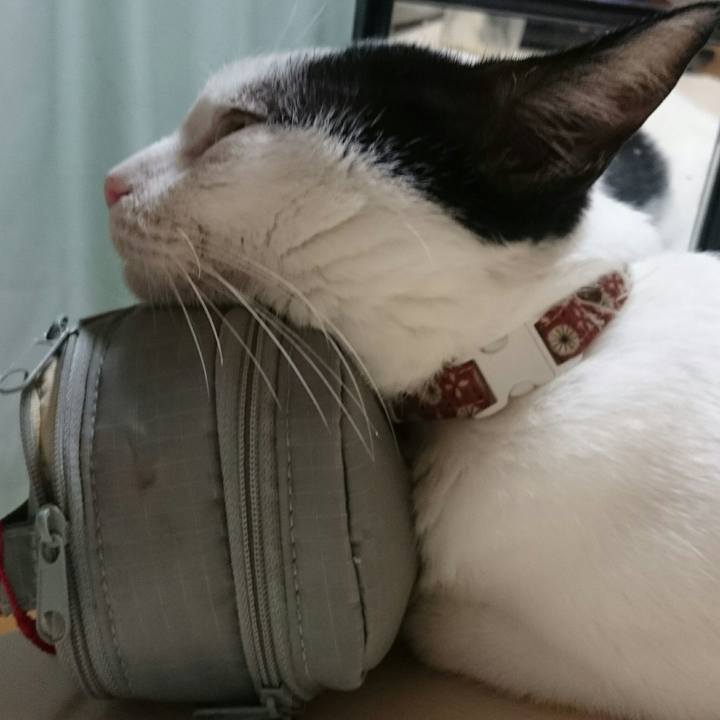 Bfbc16fe 1c9c 408d 9f29 a71cf34deccb 1515159100334