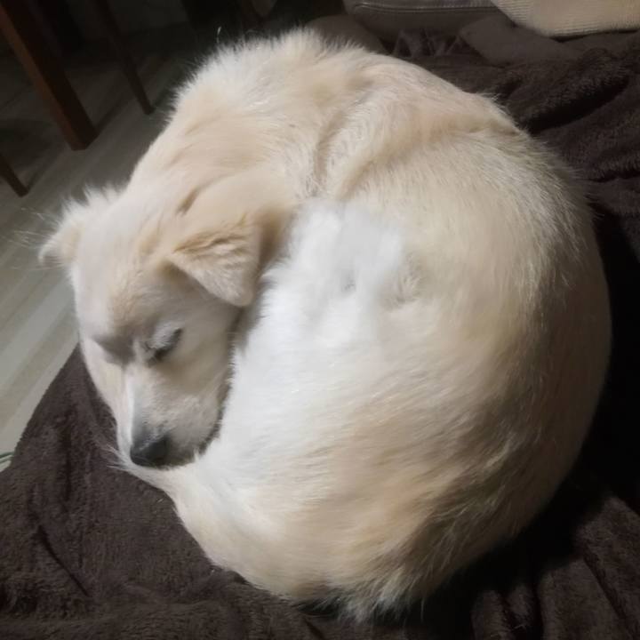 Bfbc57fb 0f06 470d 8943 987ac1250db4 1511863467163