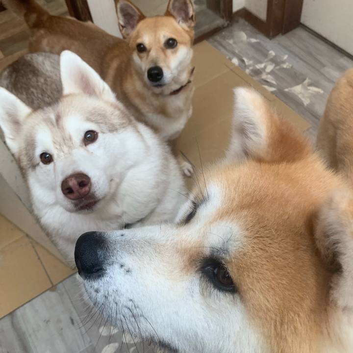 Bfbc614d 1539 47c7 8f1b 28c42f83fb6c 1714790554858