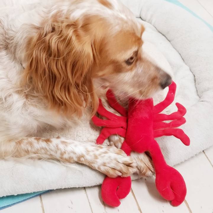 Bfbc666f 14bd 478e bc39 efaee14e1383 1663930562144