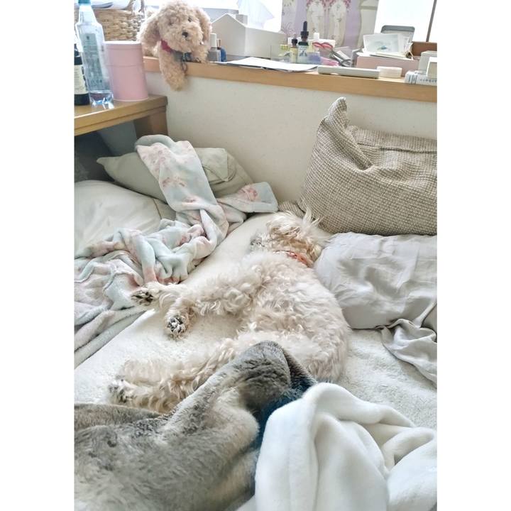 Bfbc78ef 97bf 4b6d 8abf 9bfa8920cd2b 1713995943343