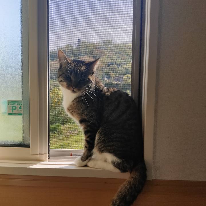 Bfbcb081 e6f3 41ec b078 c7057d07e308 1650585235684