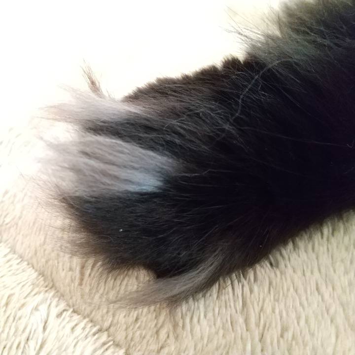 Bfbcbdae 3f56 4e2b 82cf 9b527acd8e24 1643846032960