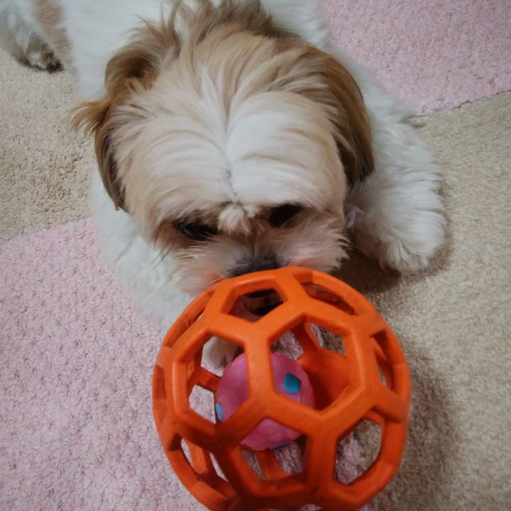 Bfbcc069 3d5a 4b73 932e d5059038560a 1510996582066