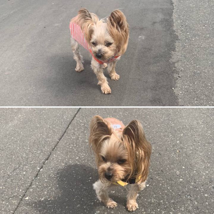 Bfbd4819 1bac 4260 85a4 31dc4a5d2e50 1617009922884