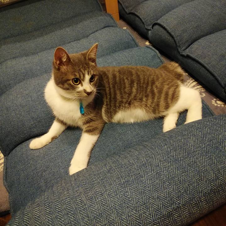 Bfbd573e 159e 489b bba6 1904ae444a3d 1571306535541