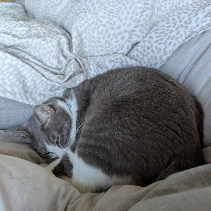 Bfbd77f1 3a9f 4fa2 9e4c 9bde9bb8bcae 1732579780759