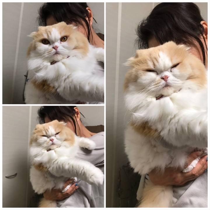 Bfbdad25 eaf8 4b75 a597 632be90b9efd 1595414346942