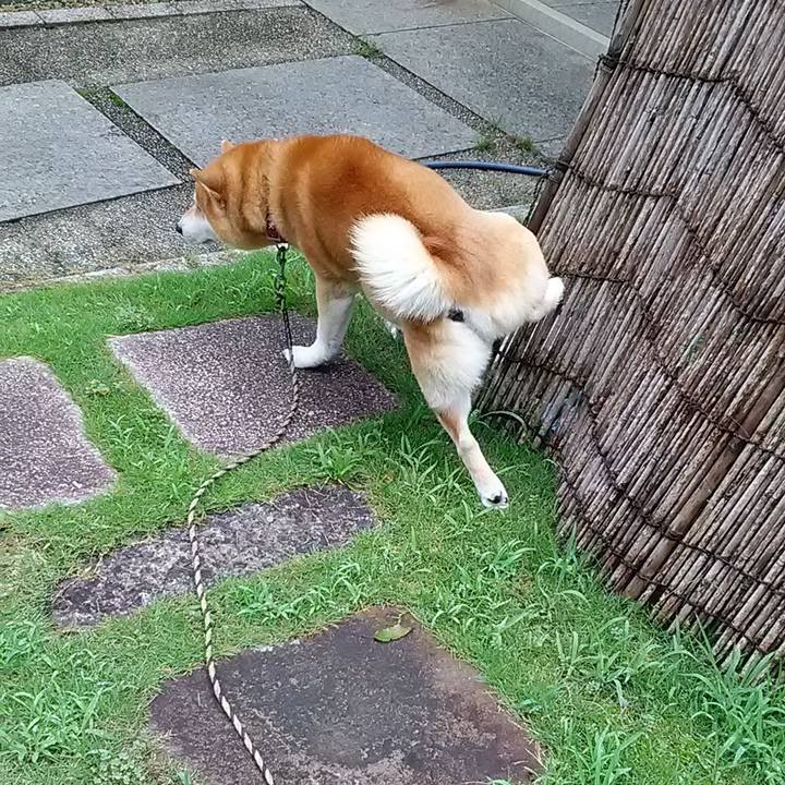 Bfbdc1b1 398b 4cb5 a819 8330dc2b6d2a 1629677790853