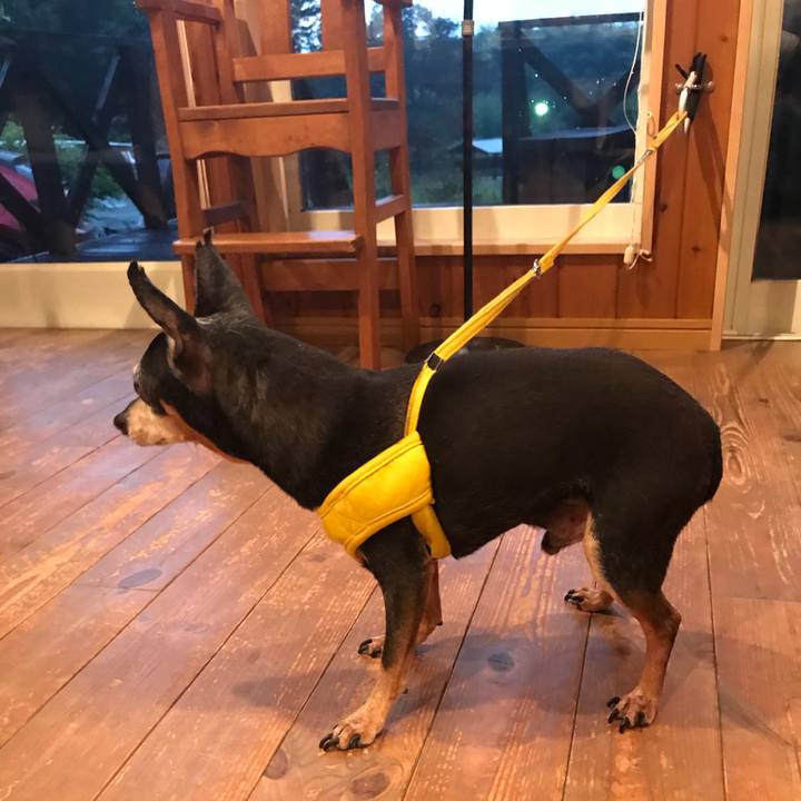 Bfbdd84e 53a3 4170 8453 8b6859b9cd70 1565679124265