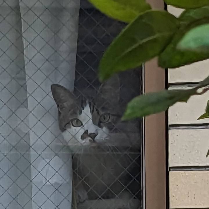 Bfbddc64 b145 41b6 932a a81cf7dfd569 1683585821993