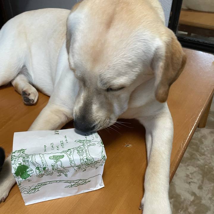 Bfbdec67 2a7b 45ff 99ca 293d1de90225 1634368009213