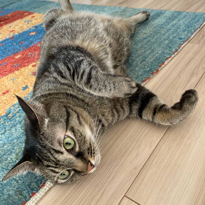 Bfbe060d d34e 4f3b 9479 85d2a110c785 1598570736165