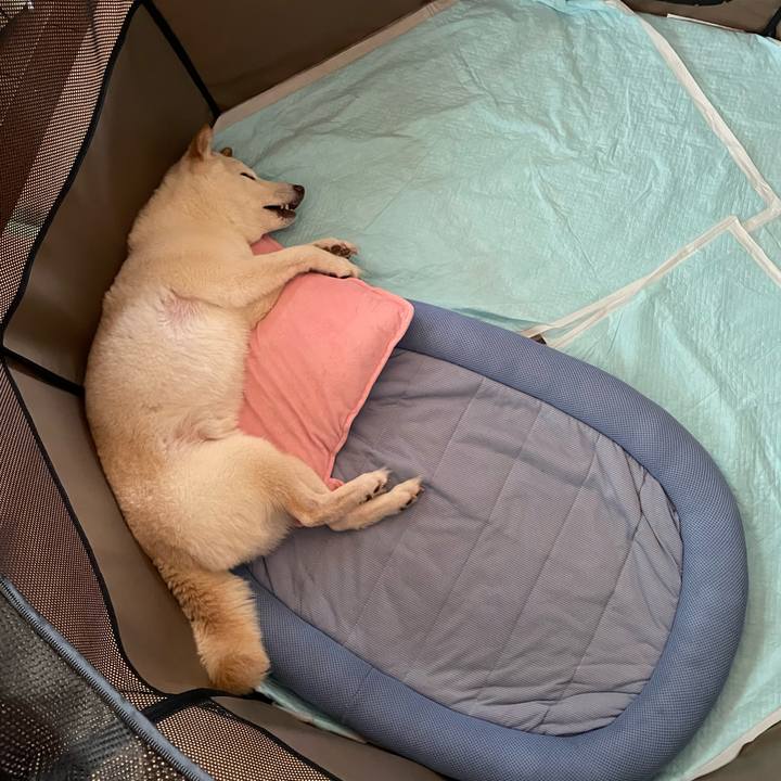 Bfbe07e8 ba7e 4dd3 8d11 600d51a7dac6 1653537039450