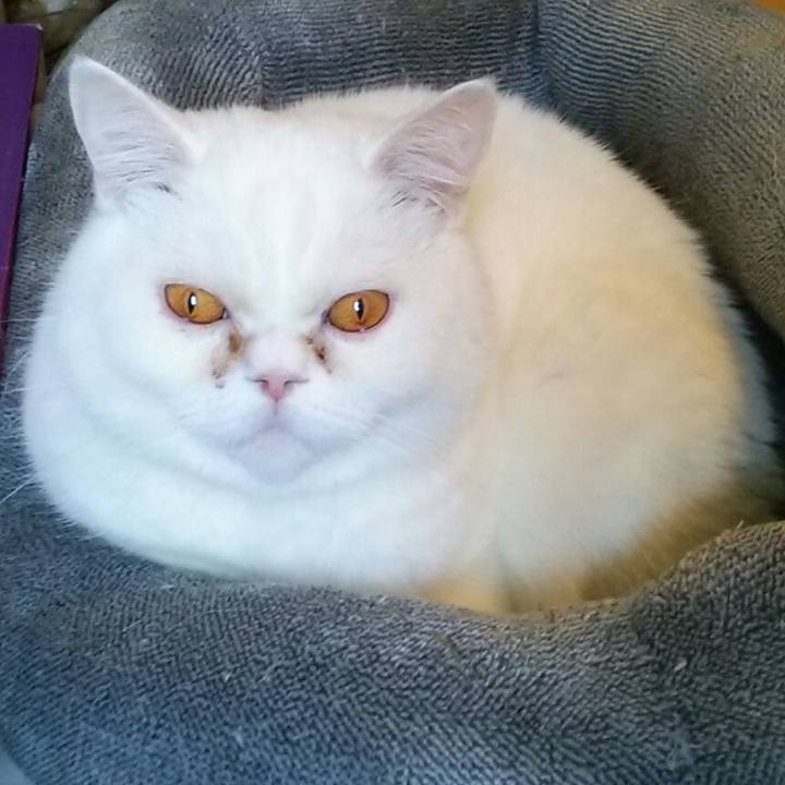 Bfbe1bc1 926f 438f 8606 3d6eb84a03a3 1517023145771