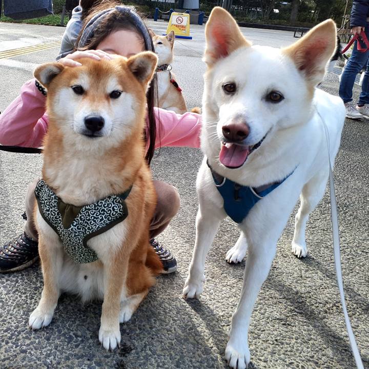 Bfbe42ab 1eb5 489f b462 d9eeaf3b197e 1648340890581