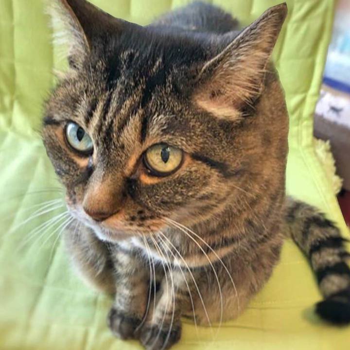 Bfbe5cd6 1656 411c af5e 92dec7698bff 1766382094060