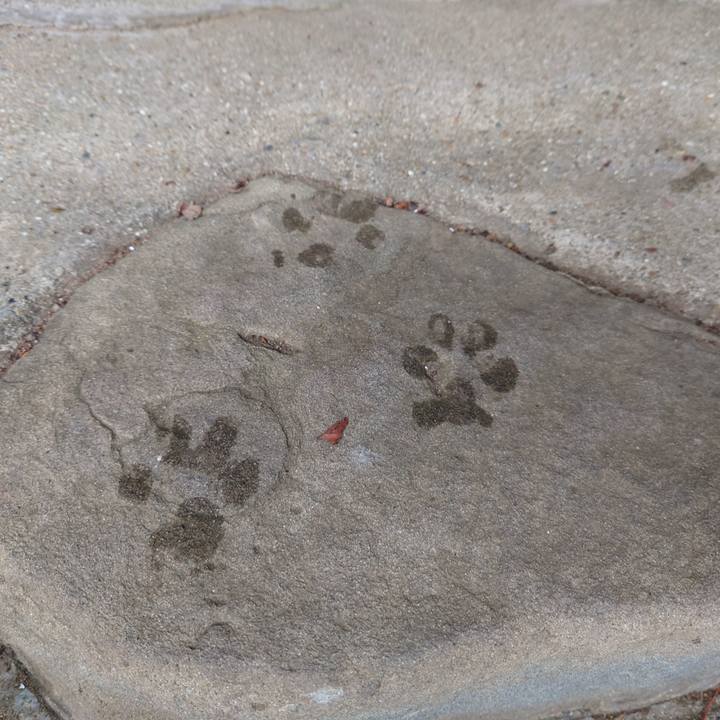 Bfbe6619 44f1 468e b475 b41e0aa2c00a 1759633391252