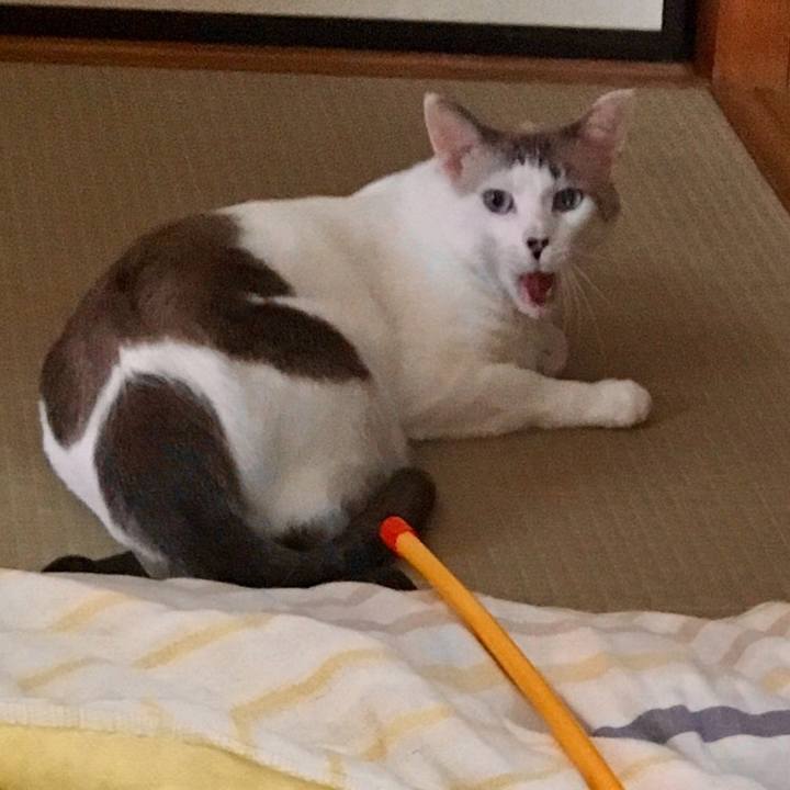 Bfbe8686 61ce 49da a1b9 42055636c81b 1568260344224