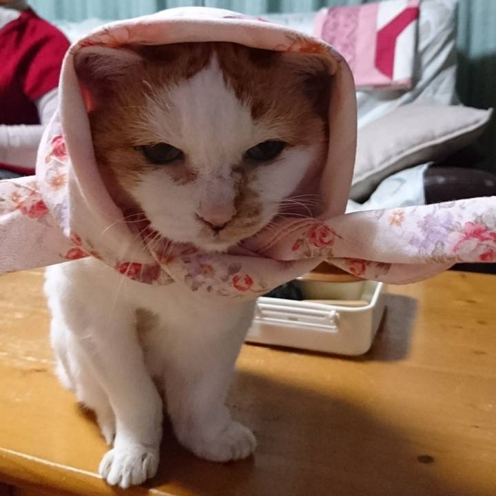 Bfbe8aaf 916d 4d6c b72c a97ef0e85d37 1641813166922