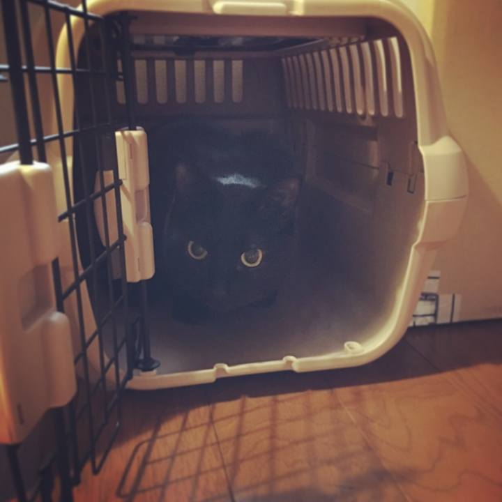 Bfbe9565 71ef 4b7b 9192 85193a98bf21 1520462870570