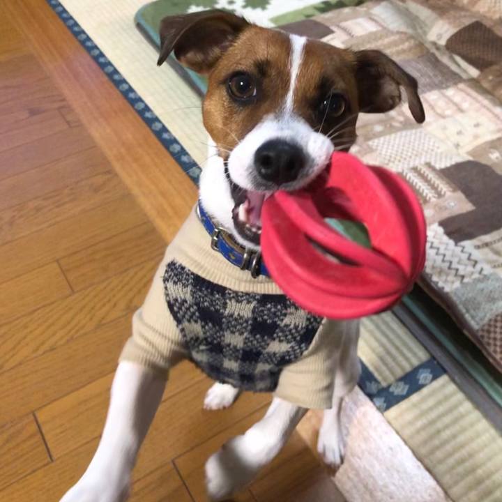 Bfbea424 55e4 4f68 9e8f 4e8ace0348f5 1543488212370