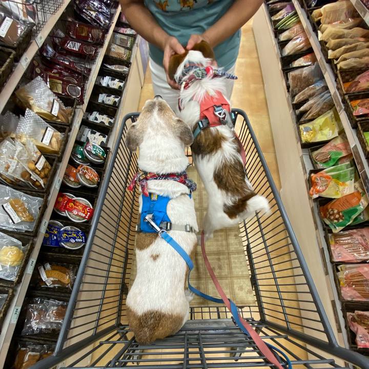 Bfbeb7c6 2f78 4d24 af09 0ceabb163e87 1689402645357