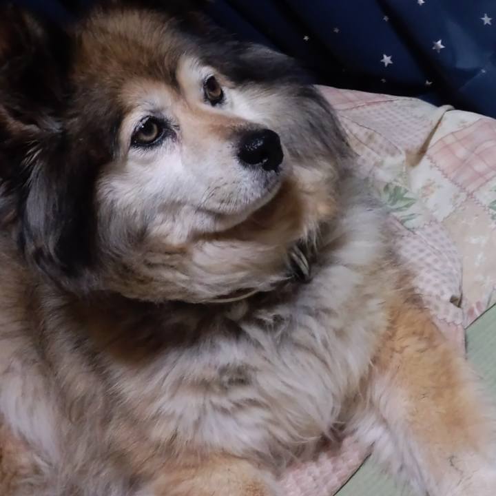 Bfbf07c8 c621 487b 9d56 f8b9f10537d8 1558253684207