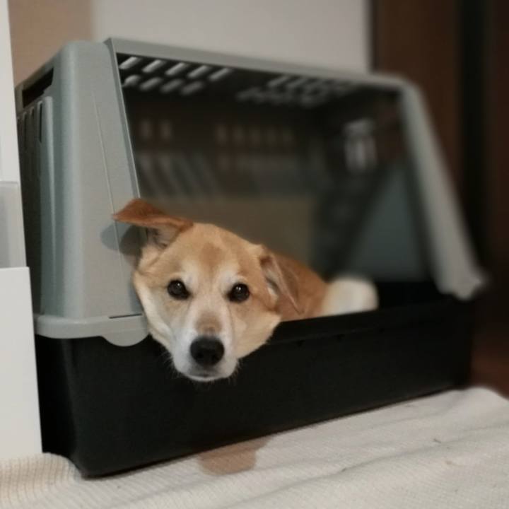 Bfbf0d31 63e5 4619 8982 639e1c24d32b 1555905238382