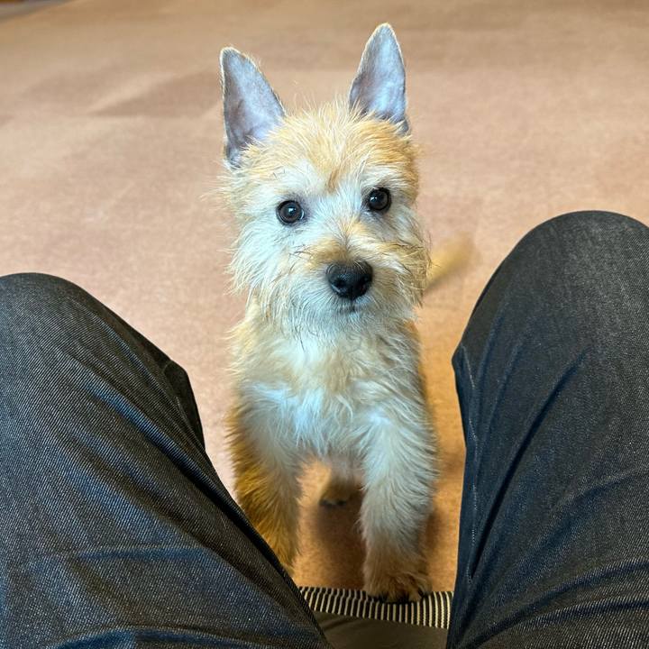 Bfbf566b c7c2 42d7 8382 cfb67111c17d 1705817756761