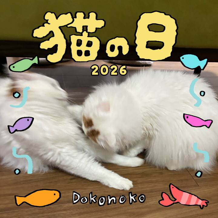 Bfbf7d15 6d16 4c05 9a58 93dde211376e 1771723277728