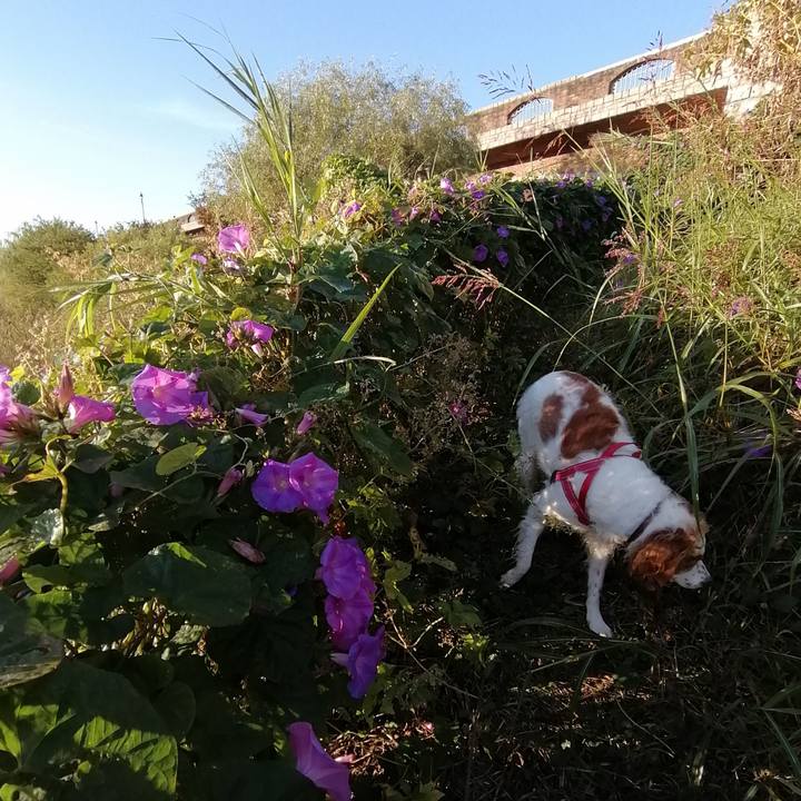 Bfbfc473 509c 42b8 99cb 3122dc15cc7d 1573099923355