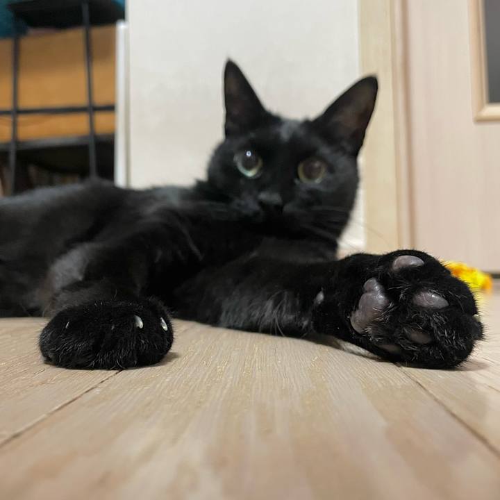 Bfc0040e 6f59 4142 90d5 6cac14ca5e2b 1732874401529