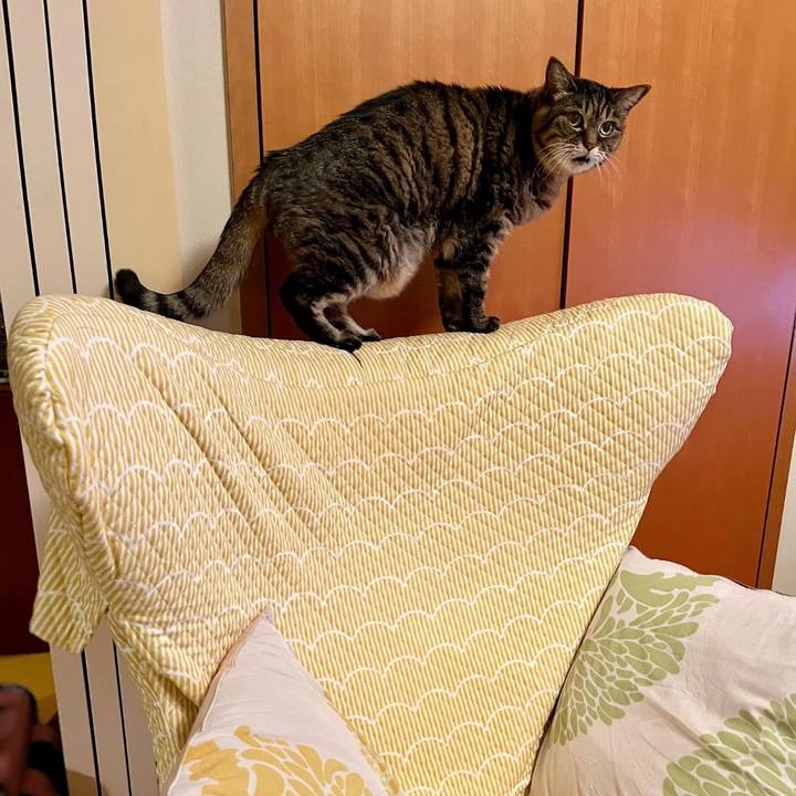 Bfc02605 12f1 4323 b4eb 5b0e8e03d3ae 1763353920471