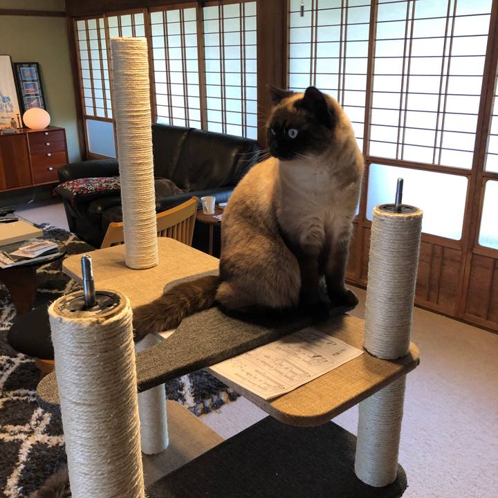 Bfc0329a eea8 4d1f 8ff7 22cab7e4ff9c 1620173877807