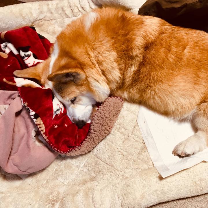 Bfc05f98 74ec 4ddc bdf6 edd1b1151b52 1554993103016