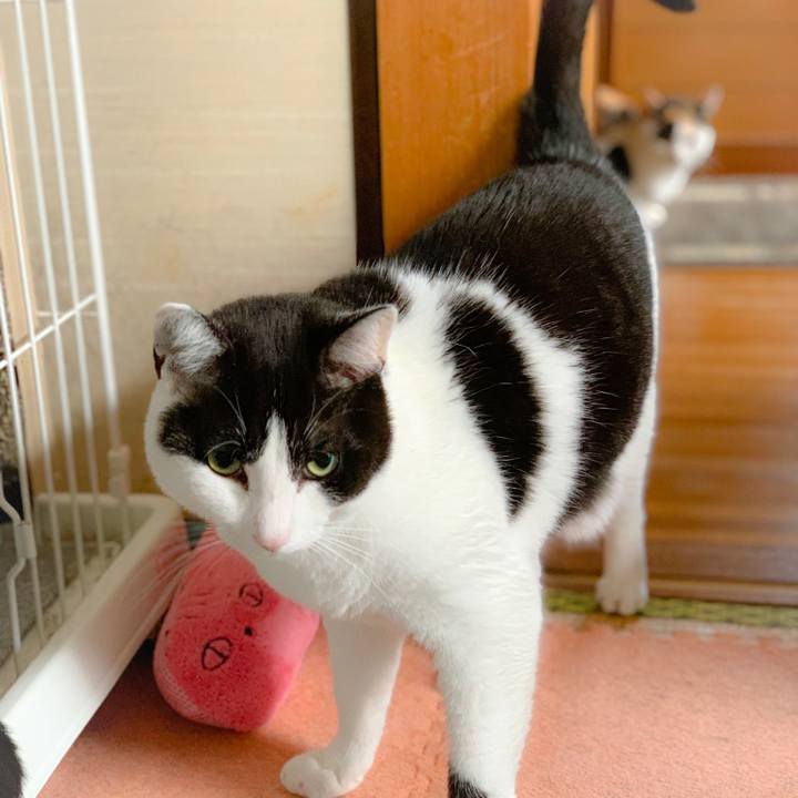 Bfc06941 98eb 46ff 9f38 b245ffe2943a 1559267984132