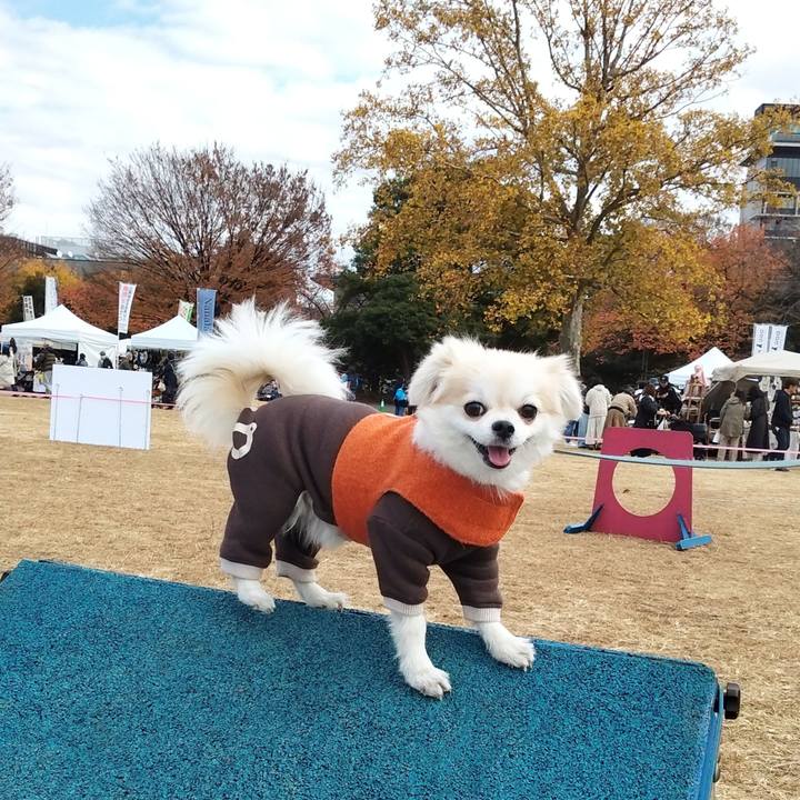 Bfc0c8cd 487f 4862 bb1d ad9e6d4febb3 1701003333353