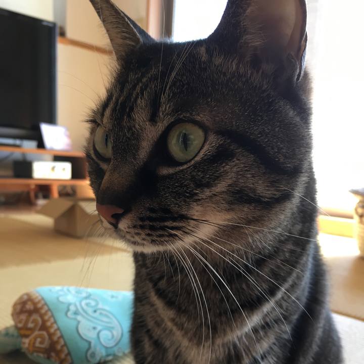 Bfc0ce60 7786 4bba 9a0e 64bce6ad3226 1551142335018