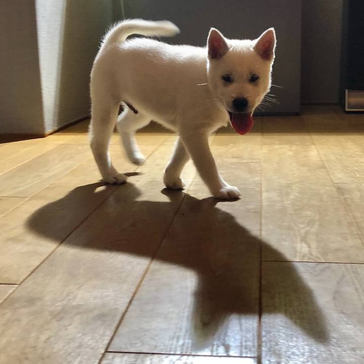 Bfc0feea 5f1f 493e a147 38a0e69c63ac 1615983753147