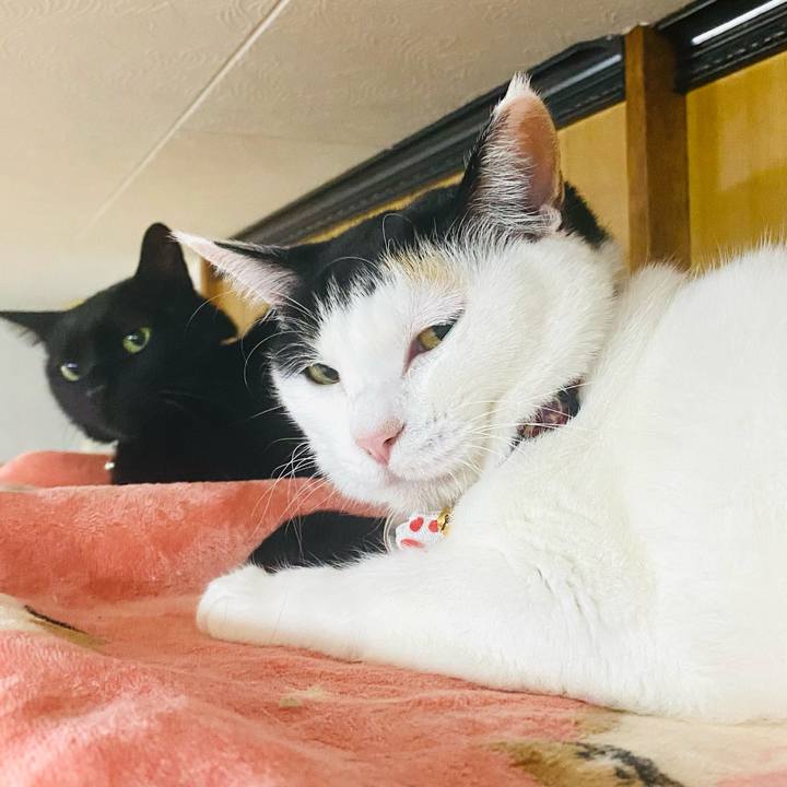 Bfc13c8d cf8e 44d3 a82e 95fa60aa267a 1708350085568