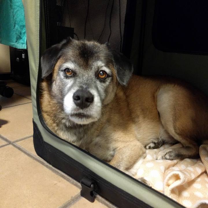 Bfc15b68 8424 48fb b2b2 573b1fc97208 1508063747351